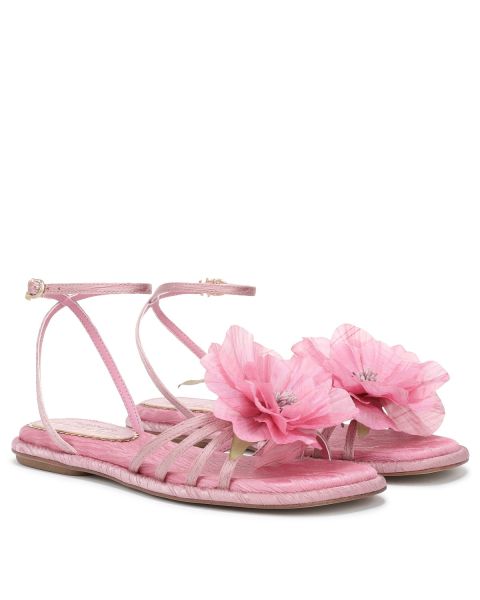 Blush/Pink Fabric