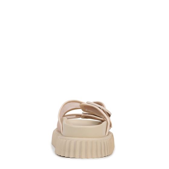 Vanilla Bean