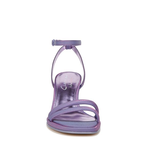 Purple Pixie
