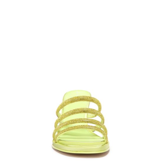 Sunny Lime Green