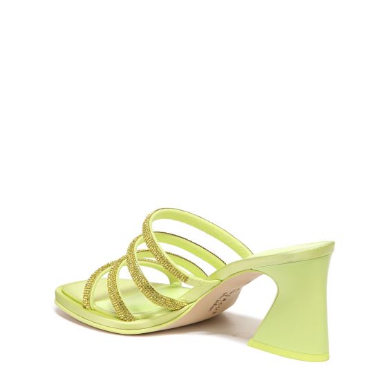 Sunny Lime Green