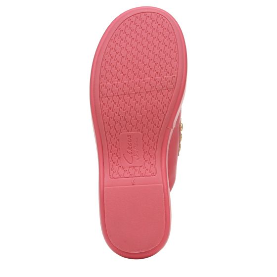 Flamingo-Sole