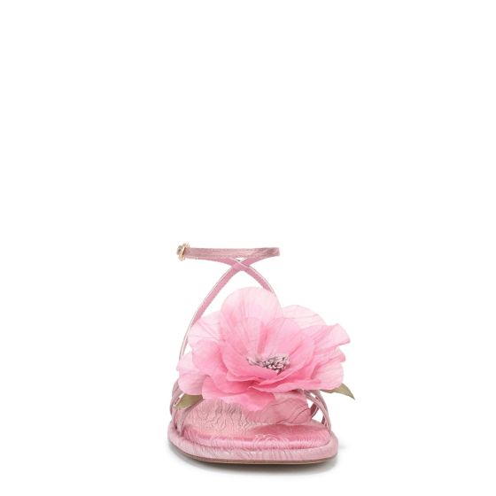 Blush/Pink Fabric
