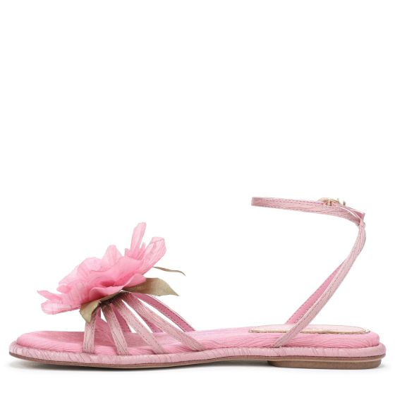 Blush/Pink Fabric