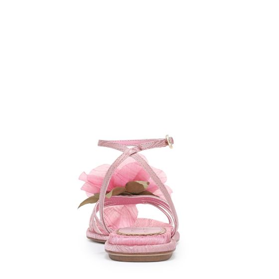 Blush/Pink Fabric