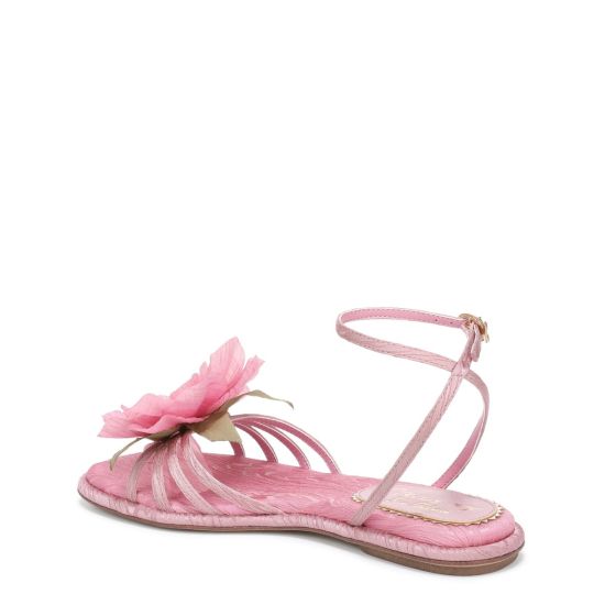 Blush/Pink Fabric