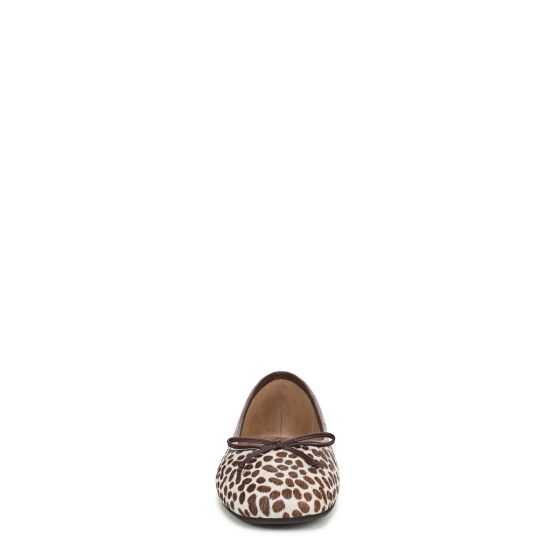 Chocolate Brown Multi