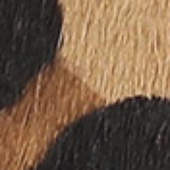 Leopard Print Brown Brahma Hair-Swatch