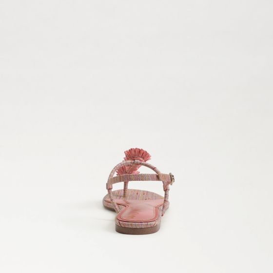 Pink Lily