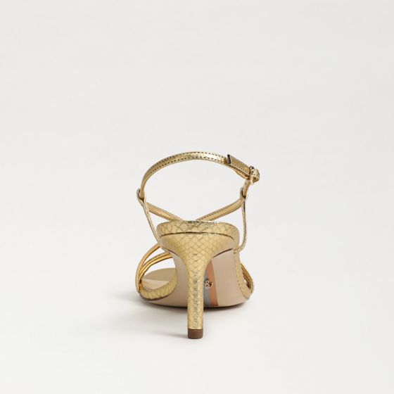 Amber Gold
