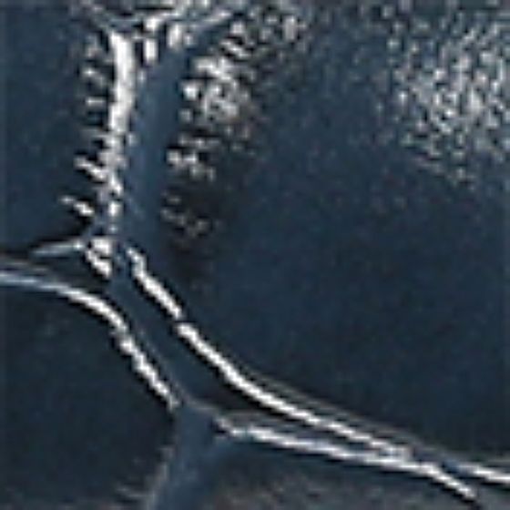 Pacific Navy-Swatch
