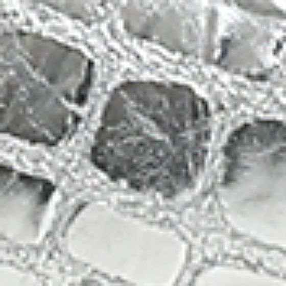 Soft Silver-Swatch