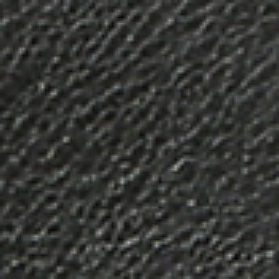 Black-Swatch